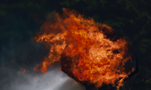 Galerie Cyril Guernieri